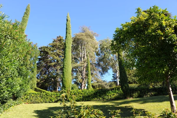 Español Sea Lloret Costa Brava Botanischer Garten Clotilde Ume Estatuen —  Fotos de Stock