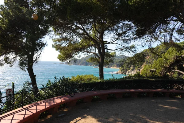 Spanien Sea Lloret Costa Brava Botanischer Garten Clotilde Ume Statuen — 스톡 사진