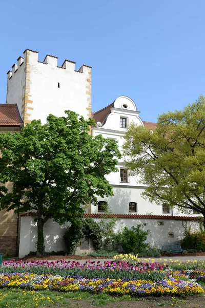 Fleurs Zeughaus Amberg Stadtmauer Architecture Bavière Bavière Orientale Allemagne Vieille — Photo