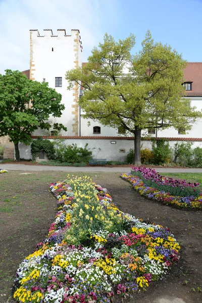 Цветы Zeughaus Amberg Stadtmauer Architecture Bavaria Eastern Bavaria Germany Old — стоковое фото