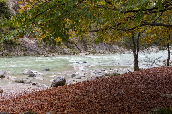 Podzimní Krajina Řekou Stromy — Stock fotografie