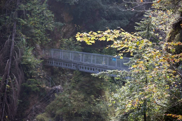 Vista Del Puente Bosque — Foto de Stock