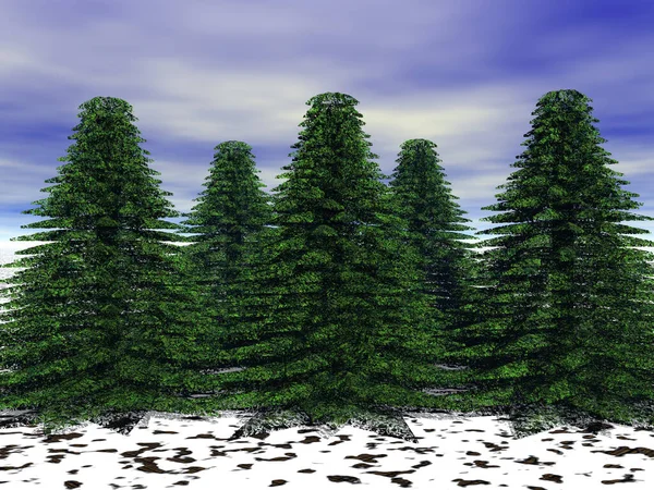 冬季风景中的圣诞树 — 图库照片
