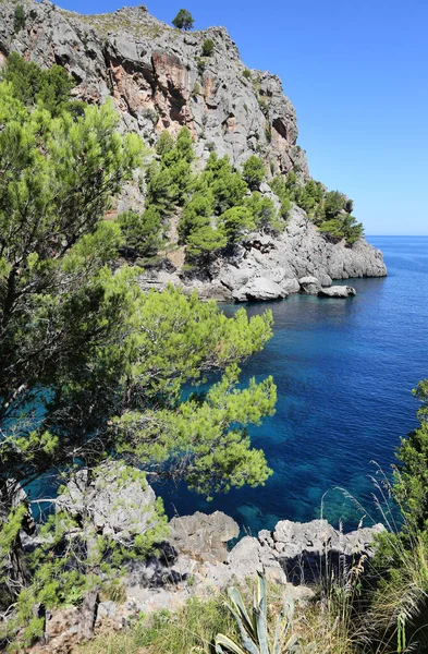 Srail Kuzeyindeki Akdeniz Kıyısının Manzarası — Stok fotoğraf