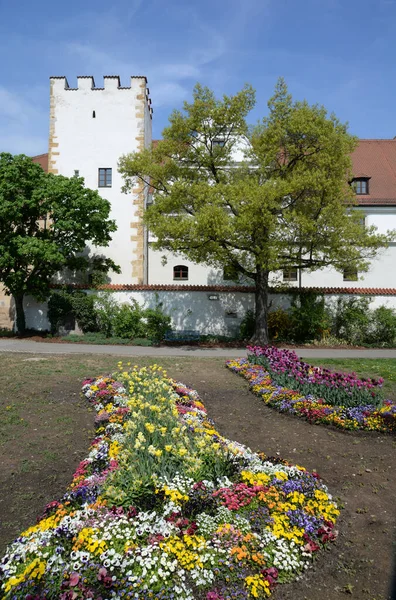 Flores Zeughaus Amberg Stadtmauer Arquitectura Baviera Baviera Oriental Alemania Casco — Foto de Stock