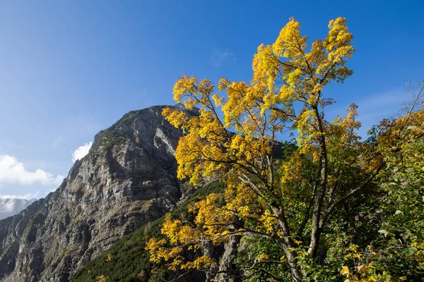 Sonnjoch Kayalık Dağları Doğada Seyahat Alpler — Stok fotoğraf