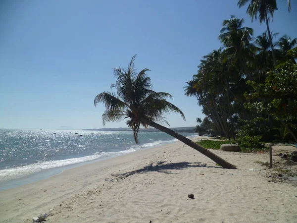 Playa Paisaje Naturaleza Vista —  Fotos de Stock