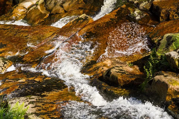 Bach Steinerne Renne Harz — Photo