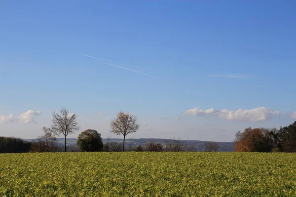 Paisagem Com Campo Céu Azul — Fotografia de Stock