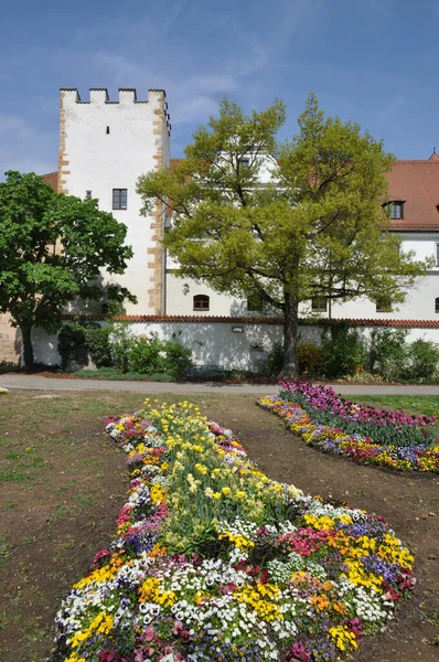 Цветы Zeughaus Amberg Stadtmauer Architecture Bavaria Eastern Bavaria Germany Old — стоковое фото