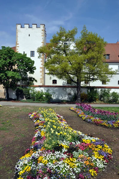 Virágok Zeughaus Amberg Stadtmauer Építészet Bajorország Kelet Bajorország Németország Óváros — Stock Fotó