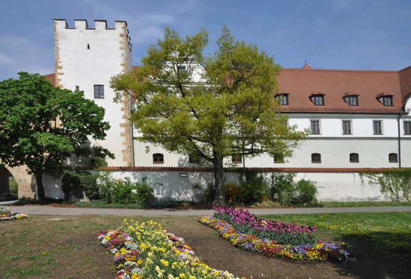 Bloemen Zeughaus Amberg Stadtmauer Architectuur Beieren Oost Beieren Duitsland Oude — Stockfoto