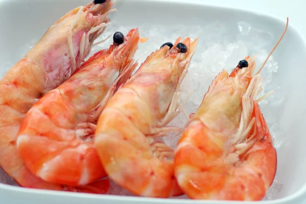 Camarones Mariscos Cocina Gourmet — Foto de Stock