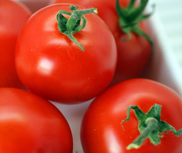Fresh Ripe Organic Tomatoes — Stock Photo, Image