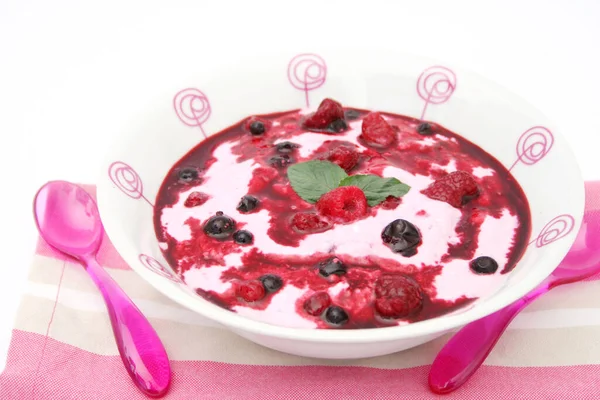 Joghurt Leckeres Dessertessen — Stockfoto