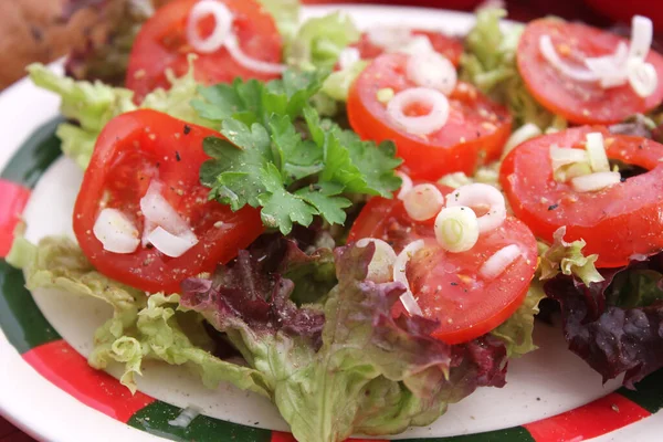Nahaufnahme Von Frischem Leckerem Salat — Stockfoto