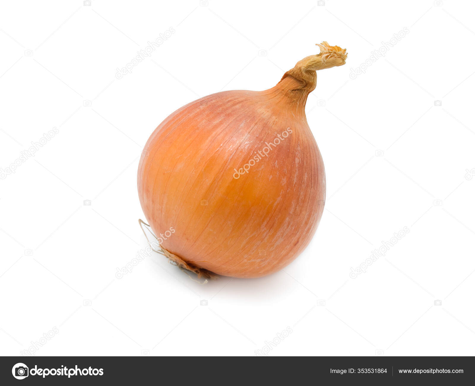 Head Fresh Onions — Stock Photo © PantherMediaSeller 353531864