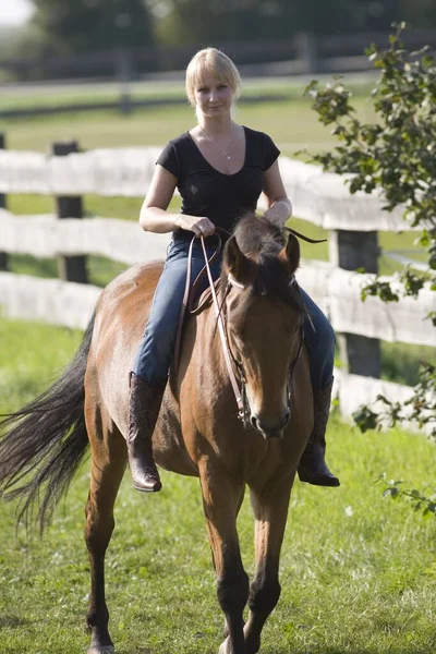 ブロンド女性と彼女自身の茶色の馬 — ストック写真