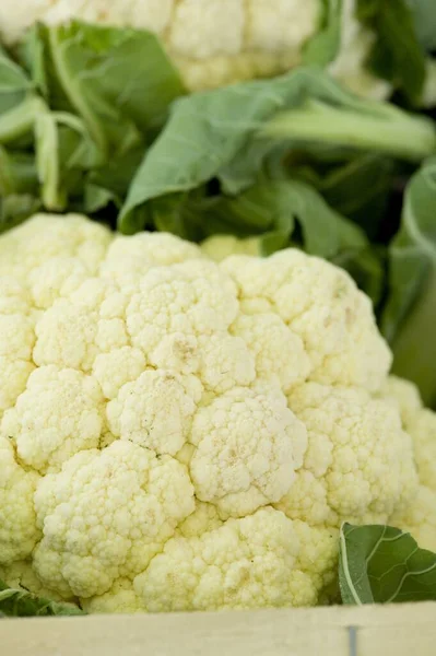 Fresh Cauliflower Box — Stock Photo, Image