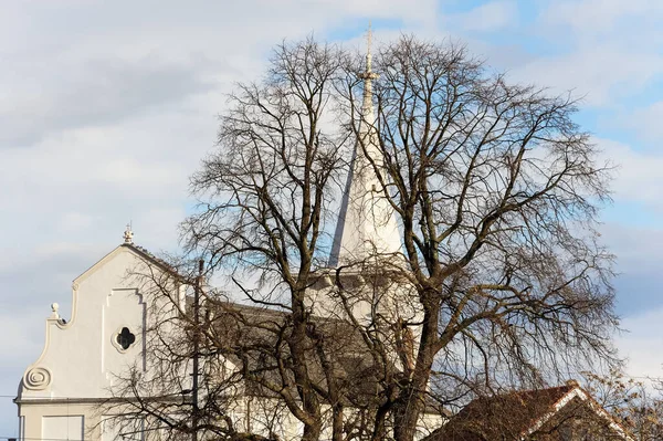 Εκκλησία Πίσω Από Ένα Δέντρο — Φωτογραφία Αρχείου