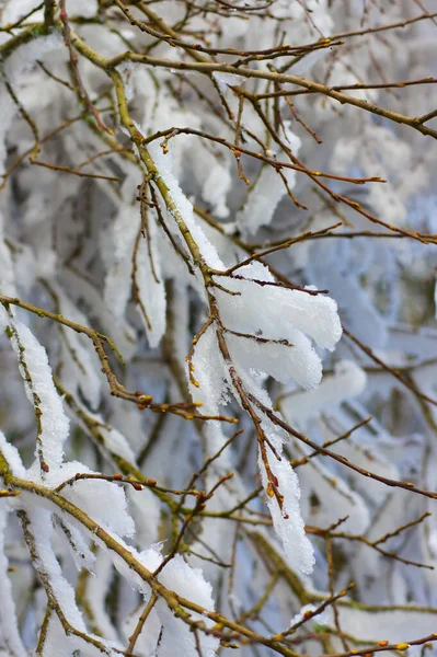 Impressions Hivernales Dans Sauerland — Photo