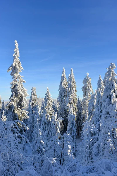 Winter Landscape Winter Sports Snow Covered Landscape Ochsenkopf — Stock Photo, Image