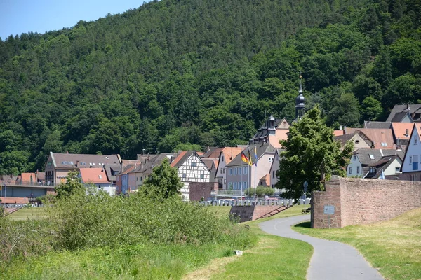 Centro Storico Chiesa Municipio Freudenberg Principale Franken Baionetta Casa Edificio — Foto Stock