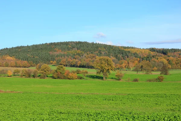 Paisajismo Otoño Lusacia Sajonia Alemania —  Fotos de Stock