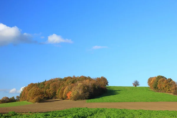 Herbstliche Landschaft Der Lausitz Sachsen Deutschland — Stockfoto