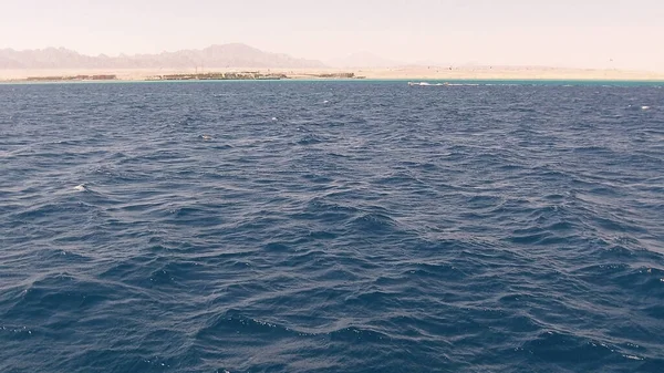 Scène Plage Mer Rouge Baie Soma Égypte — Photo