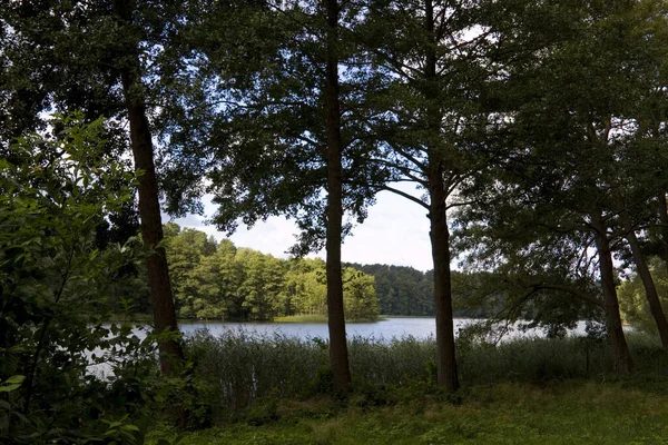 Landschap Bij Lake Roof8 — Stockfoto