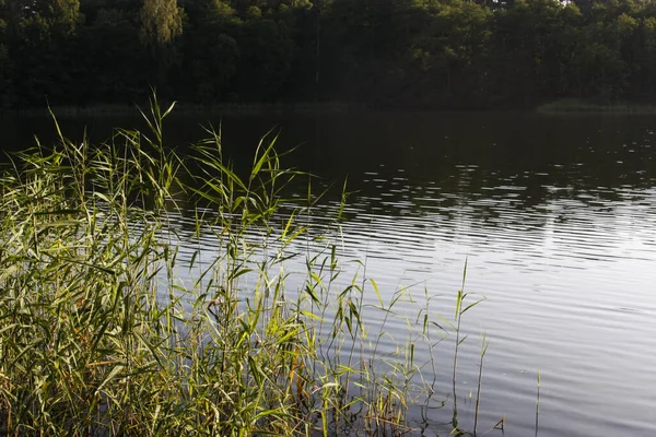 Landschap Bij Lake Roof60 — Stockfoto