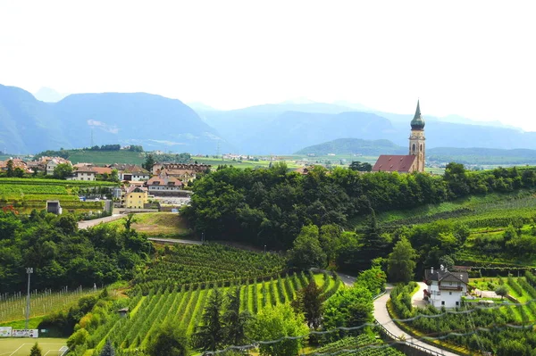 Wine Landscape Eppan South Tyrol View Nussbaumerweg Missian Skt Paul — Stock Photo, Image