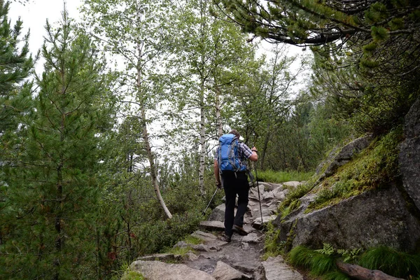 Mooie Waterval Natuur Achtergrond — Stockfoto