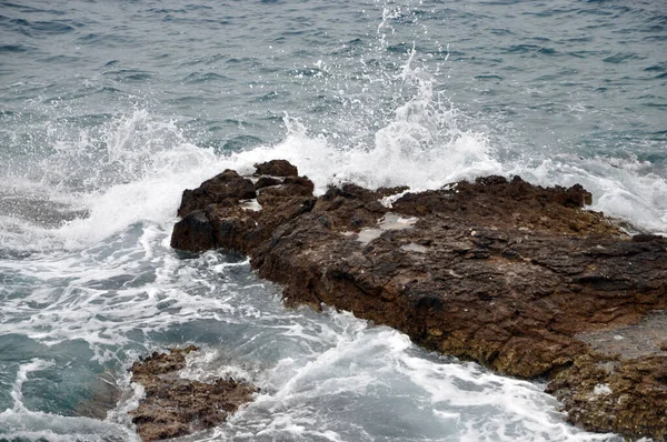 Cabo Kameniak Istria Croacia Península Mar Mediterráneo Costa Promontorio Ola —  Fotos de Stock