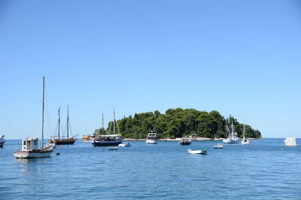 Rovinj Gemi Tekne Yelkenli Yelkenli Liman Istria Hırvatistan Deniz Akdeniz — Stok fotoğraf