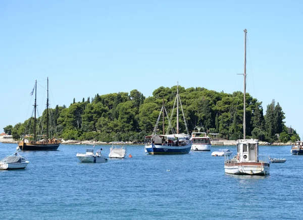 Rovinj Barco Barco Velero Velero Puerto Istria Croacia Mar Mediterráneo —  Fotos de Stock