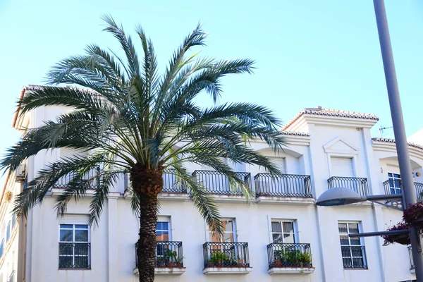 Costa Del Sol Costa Tropische Spanje Huis Fassaden — Stockfoto