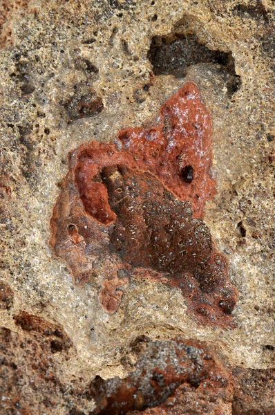 Sandstein Stein Geologie Steine Stein Rosa Gelb Ocker Küste Struktur — Stockfoto