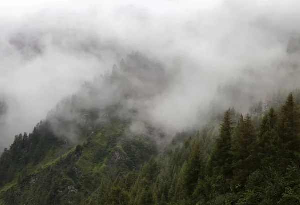 Berglandschaft Nebel — Stockfoto