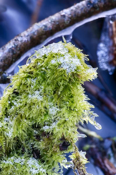 Benyomások Fagyasztott Winterbach — Stock Fotó