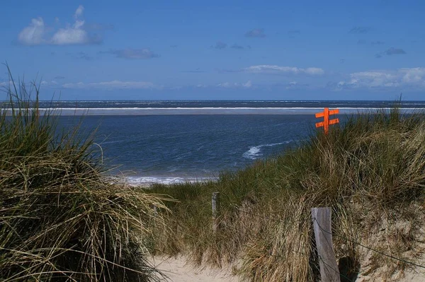 Prachtig Natuurlandschap Achtergrond — Stockfoto