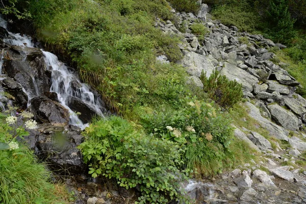 Vízesés Kaszkád Felső Hegyi Völgy Stubai Tal Stubai Tirol Ausztria — Stock Fotó