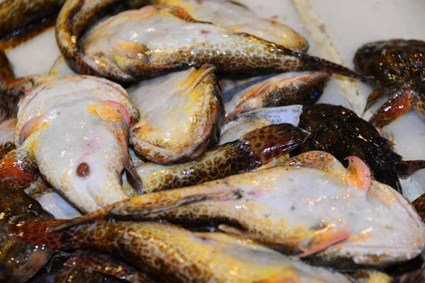 Fresh Fish Ayamonte Ισπανια — Φωτογραφία Αρχείου