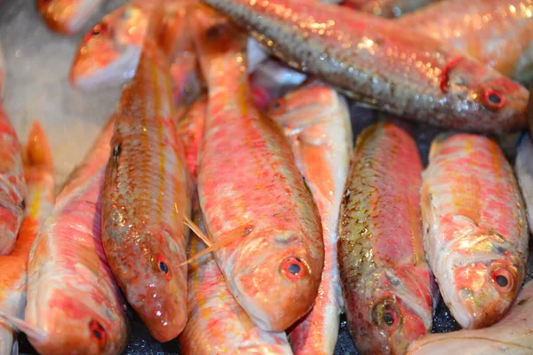 Pesca Fresca Ayamonte Espanha — Fotografia de Stock