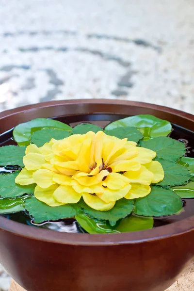 Miska Wodą Kwiatami Spa Kręgami Zen Ziemi — Zdjęcie stockowe
