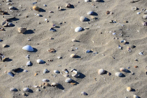 Sandstrand Mar — Fotografia de Stock