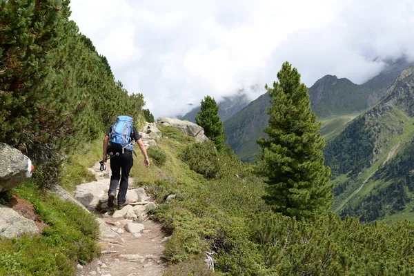 Wandelen Wandelen Wandelen Bergwandelaars Bergwandelaars Bergdal Stubaital Stubai Tirol Oostenrijk — Stockfoto