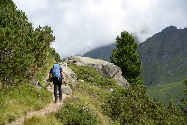 Senderismo Senderismo Caminantes Montaña Excursionistas Montaña Valle Superior Montaña Stubaital — Foto de Stock