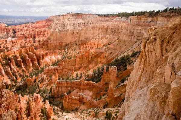 Bryce Canyon Utah Amerikai Egyesült Államok — Stock Fotó